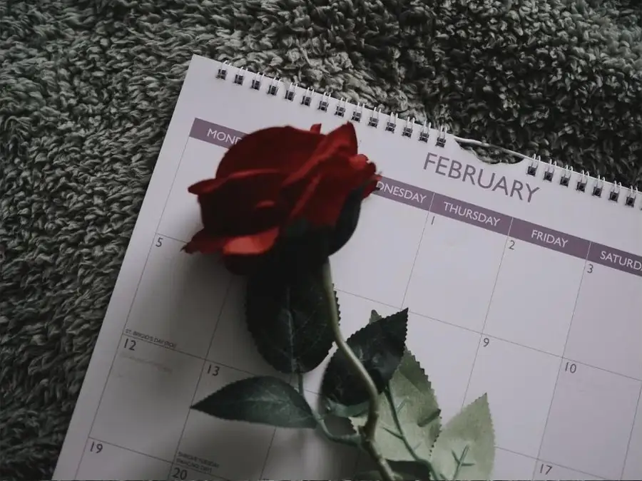 Exemple d’ambiance save the date pour un site d'invitation digital